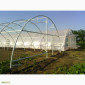Пленочные теплицы от производителя по доступным ценам - фото № 2