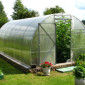 Теплицы - фото № 6