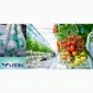 VATAN PLASTIK Купити тепличну плівку 150 мкм - фото № 1