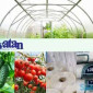 Плівка для теплиць, теплична плівка Vatan Plastik 2022 - фото № 1