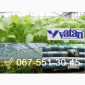 Плівка теплична 150, 60, 40 мкм Vatan Plastik виробник Туречина - фото № 1