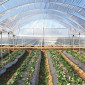 Плівка для теплиць та парників від "ЕкоВіжен" - фото № 2
