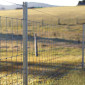 Сетка Казачка облегченная - дешёвый садовый забор - фото № 1