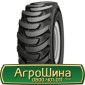 Шина IF420/85r38, IF 420/85R38, IF420/85 r38, IF420/85 r 38 АГPOШИHA - фото № 12