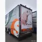 Продам поросята 20-26 кг - фото № 6