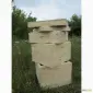 Улей - фото № 1