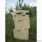 Улей - фото № 2