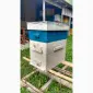 Продам 8-рамкові облегшені вулики з корпусом на даданівську рамку та магазином на 145 - фото № 2