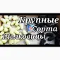 Шелковица черенки огромная: черная - фото № 1