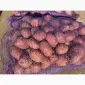 Продам продовольчу та насінневу картоплю від Ф.Г - фото № 6