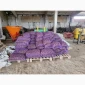 Продаж насіннєвого картоплі: Рівєра, Арізона, Белароса, Коломбо - фото № 3