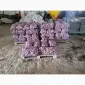 Продам картоплю велику і насіневу белароса арізона рівєра - фото № 1