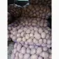 Продам крупный Товарный картофель БеллаРоза - фото № 1