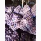 Продам крупный Товарный картофель БеллаРоза - фото № 4