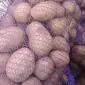 Продам товарный картофель сорта слов'янка - фото № 1