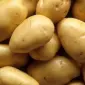 Продаж оптом картоплю якісну у Вінниці - фото № 1