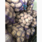 Продам домашнюю картошку Королева Анна белороса - фото № 4