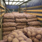 Продам Картофель різних сортів товарний вид доставка - фото № 1