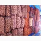 Продам картоплю як велику так і насіневу є великий вибір - фото № 7