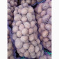 Продам товарну домашнюю картоплю 22т - фото № 4