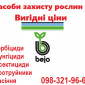 Профессиональные семена моркови Vilmorin Франция, Bejo Голландия, Seminis, (Оптовые цены) - фото № 1