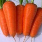 Продам семена морковки, Одесса + доставка почтой по Украине - фото № 1
