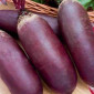 Продам семена Свекла Атаман - фото № 1