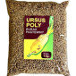 Насіння кормового буряка Урсус Полі (Фасовка - 0, 5 кг) - фото № 1