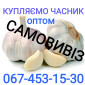 Куплю товарний чеснок оптом - фото № 1