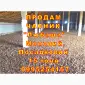 Опт 15 тонн ПРОДАМ Часник Любаша Товарний Молодий Сухий Чеснок Посадочный Garlic - фото № 5
