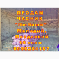 Продаж часнику Любаша оптом 15 тонн - фото № 6
