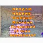 Опт 15 тонн ПРОДАМ Часник Любаша Товарний Молодий Сухий Чеснок Посадочный Garlic - фото № 6