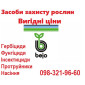 РАСПРОДАЖА остатков семян овощей Bejo (Голландия), Vilmorin (Франция) по хорошим ценам - фото № 1