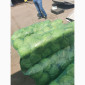 Капуста молодая - фото № 6