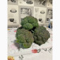 Продам капусту брокколи - фото № 2