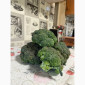 Продам капусту брокколи - фото № 4