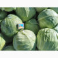 Продам капусту - фото № 2