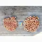 Продаж якісного Лука севок штутгард - фото № 4
