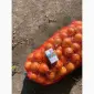 Продам лук репчатый - фото № 2