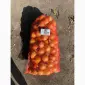 Продам лук репчатый - фото № 3