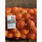 Продам лук репчатый - фото № 4