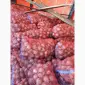 Продам Лук Оптом, Сорт Легенд - фото № 1