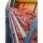 Продам Лук Оптом, Сорт Легенд - фото № 2