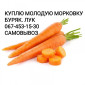 Куплю молодую морковку - фото № 1
