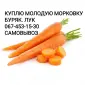 Куплю морковку МОРКВУ дорого0 - фото № 1