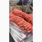 Продам оптом моркву товарну - фото № 1