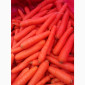 Оптовая продажа МОРКОВЬ качественных - фото № 3