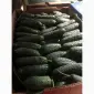Продам огірки оптом - фото № 1