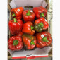 Червоний та жовтий солодкий перець Єгипет - фото № 1