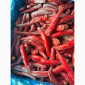Продаж перцю гострого червоного оптом - фото № 2